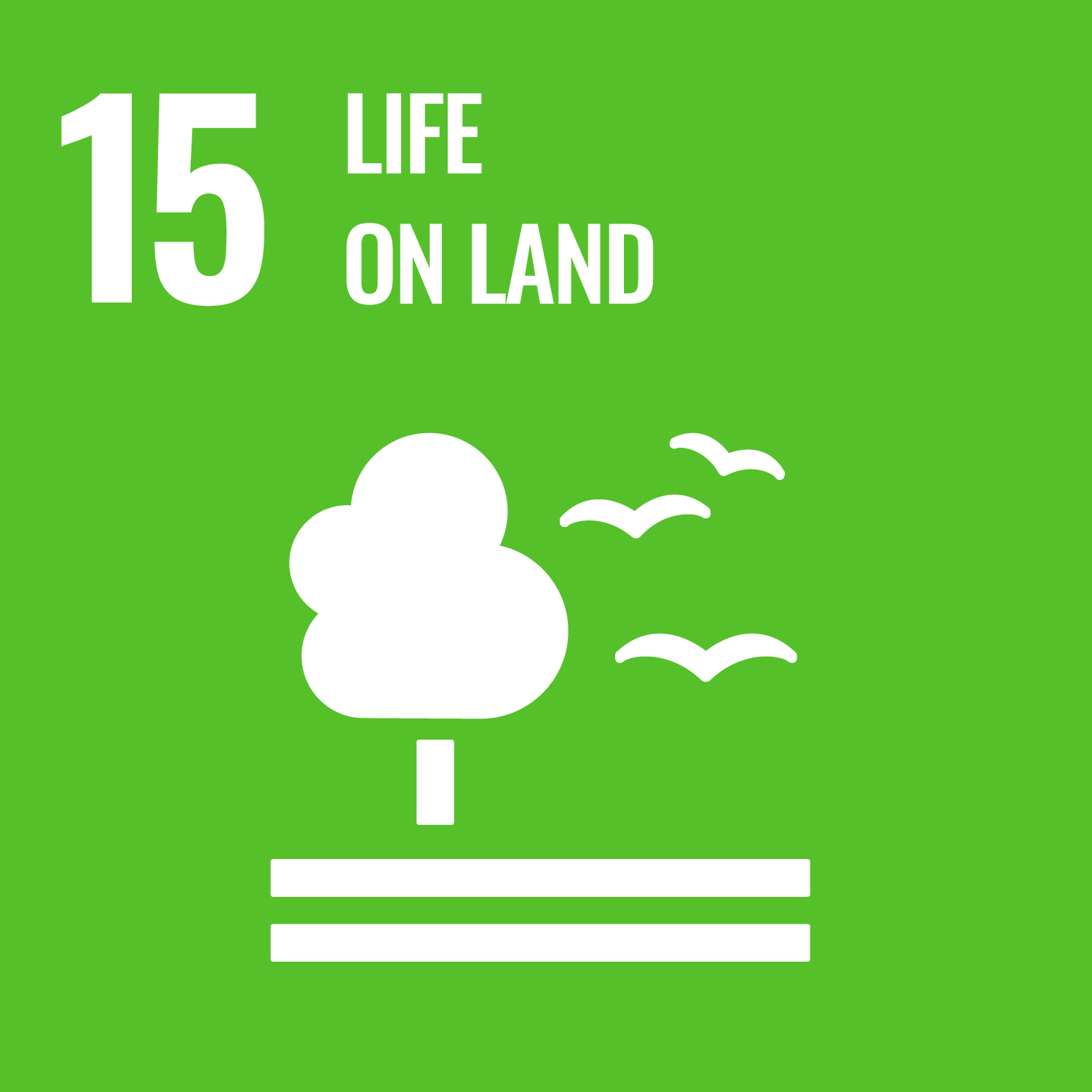 SDGs 保育陸域生態-Life on Land圖示